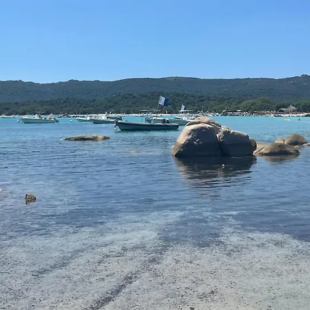 In Porto-vecchio With Pool Apartamento Porto-Vecchio (Corsica)