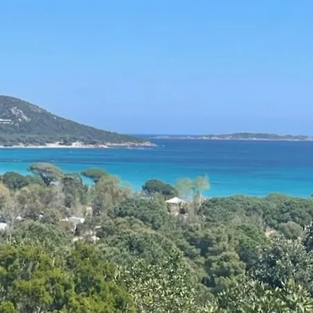 In Porto-vecchio With Pool Apartment Porto-Vecchio (Corsica)