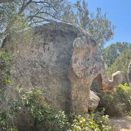 In Porto-vecchio With Pool *