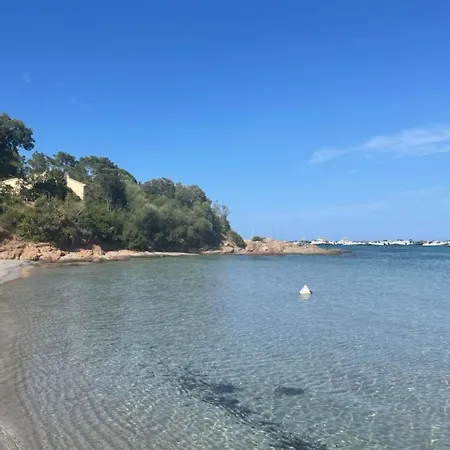 Apartment In Porto-vecchio With Pool Porto-Vecchio (Corsica)