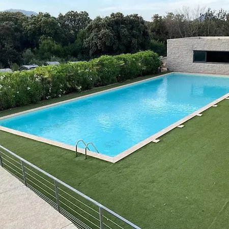 In Porto-vecchio With Pool Apartment